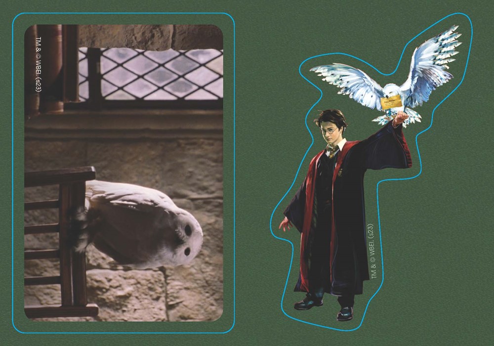 Figurine interactive Hedwige - Harry Potter - Running Press 9780762479832(3)