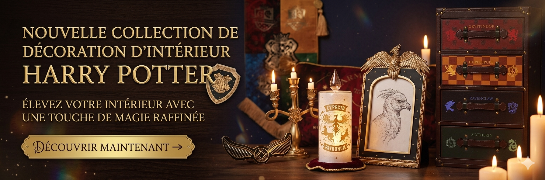 Décoration intérieur harry potter