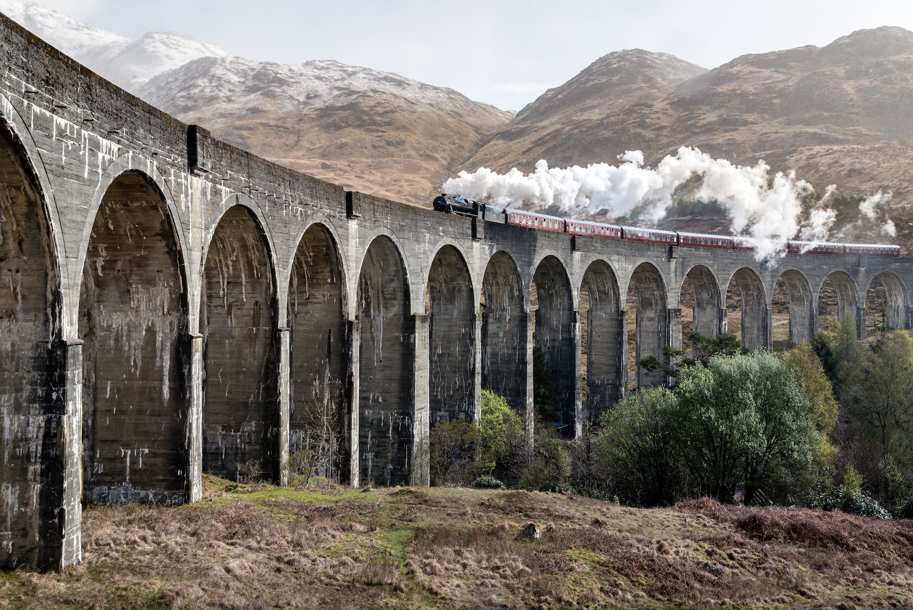 train harry potter
