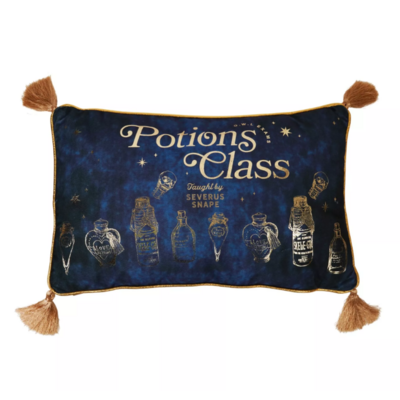 coussin en velours cours potion 2