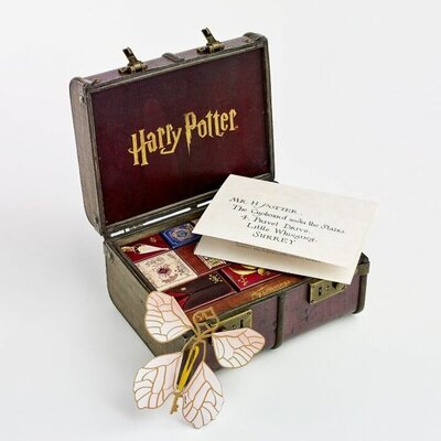 Calendrier de l’Avent 2024 - Bijoux et accessoires - Harry Potter EHPA00546 (4)