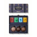 Coffret pour les lèvres Harry Potter™ X SHEGLAM Champion de Quidditch1