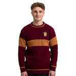 Pull de Quidditch Gryffondor - Harry Potter2