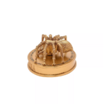 Figurine dherboristerie Harry Potter de Warner Bros - Aragog 2