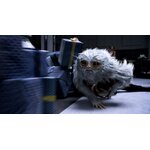Créatures magiques - Demiguise - figurine Animaux Fantastiques  NN5253