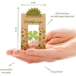 PORTE BONHEURE TREFLE A 4 FEUILLES 8
