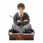 HARRY WITH WAND