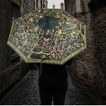 Parapluie - Famille Black - Harry Potter 2