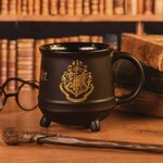 MUG CHAUDRON 400 ML 5