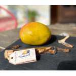 criquet commestible Mangue 2