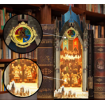 Serre livres a construire La grande salles 4