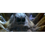 Créatures magiques - Aragog - Figurines Harry Potter  NN7671