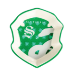 coupelle serpentard 1..