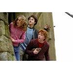 Créatures magiques - Croûtard - Figurines Harry Potter  NN7686_480