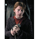 Créatures magiques - Croûtard - Figurines Harry Potter - NN7686
