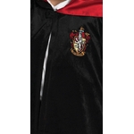 deguisement harry potter 2