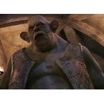 Créatures magiques - Troll des montagnes - Figurines Harry Potter  NN7543_480
