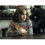 Créatures magiques - Pattenrond - Figurines Harry Potter NN7680_480