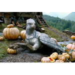 Créatures magiques - Buck l’hippogriffe - Figurines Harry Potter -NN7546