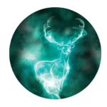 stylo projecteur patronus 3