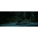 Créatures magiques - Détraqueur - Figurines Harry Potter  NN7550