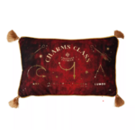 coussin en velours cours sortilege 2