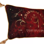 coussin en velours cours sortilege 3