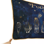 coussin en velours cours potion 3