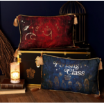 coussin en velours cours potion 5