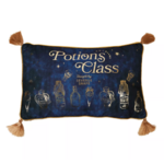 coussin en velours cours potion 2