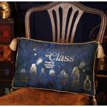 coussin en velours cours potion 1