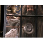 Créatures magiques - Hedwige - Figurines Harry Potter  NN7542_480