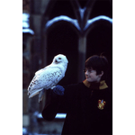 Créatures magiques - Hedwige - Figurines Harry Potter  NN7542
