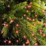 guirlande bougie led rouge 5