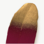 stylo plume rouge 3
