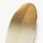 stylo plume blanche 2
