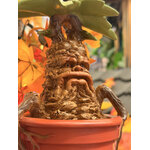 Statue_de_jardin_Mandragore_HP24432_5