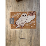 Paillasson_hedwige_HP24486_1