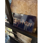 Plaque_métal_de_jardin_Harry_Potter_HP24437_5