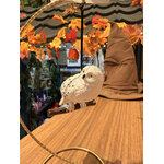 Décoration_sapin_Noël_Hedwige_HP24307_1