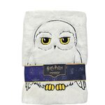 Cahier_peluche_hedwige_2700002631_4