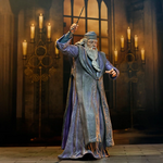 figurine_action_dumbledore_NECA60548_4