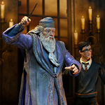 figurine_action_dumbledore_NECA60548_2