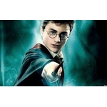 Baguette magique boîte Ollivander Harry Potter - NN7005_480 (21)