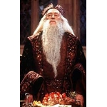 Baguette magique boîte Ollivander Albus Dumbledore - Harry Potter - NN7145