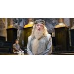 Baguette magique boîte Ollivander Albus Dumbledore - Harry Potter - NN7145_480