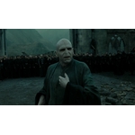 BAGUETTE VOLDEMORT BLISTER NN8570