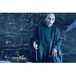 BAGUETTE VOLDEMORT BLISTER - NN8570_480