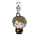 Charm Harry Potter EHPC0082