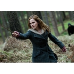 BAGUETTE MAGIQUE HERMIONE GRANGER NN0002